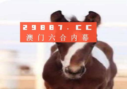 澳门一肖一码一一子中特的全面释义、解释与落实、全面解答解释落实