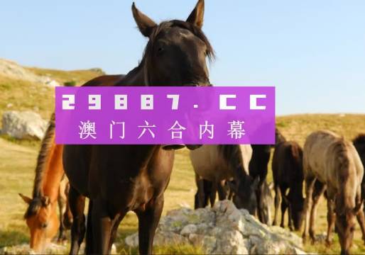 澳门管家婆-肖一码详细解答、定量解答解释落实