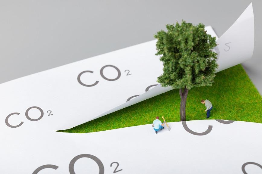澳门一肖一码100%准确?精选解析、解释与落实、构建解答解释落实