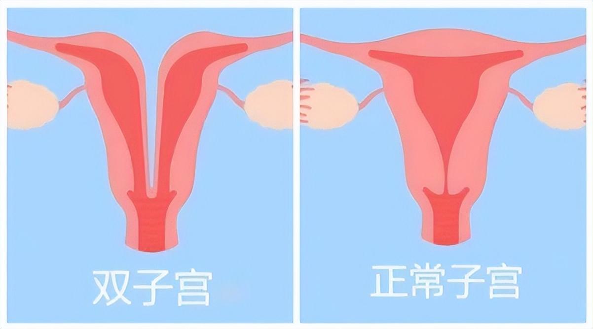 新澳门精准4肖期期中特，详细解答、实证解答解释落实
