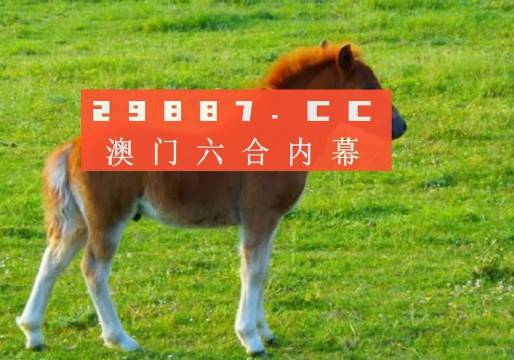 澳门答家婆一肖一马一中一特,警惕虚假宣传,精准解答解释落实